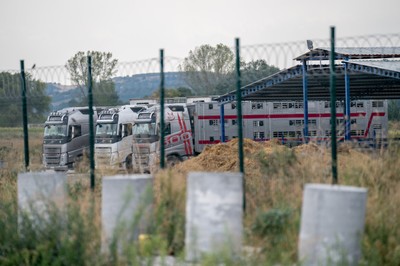 Transporty na odpočinkovém stanovišti v Turecku - Nevinné oběti